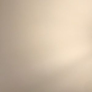 Meet your Posher, Lily